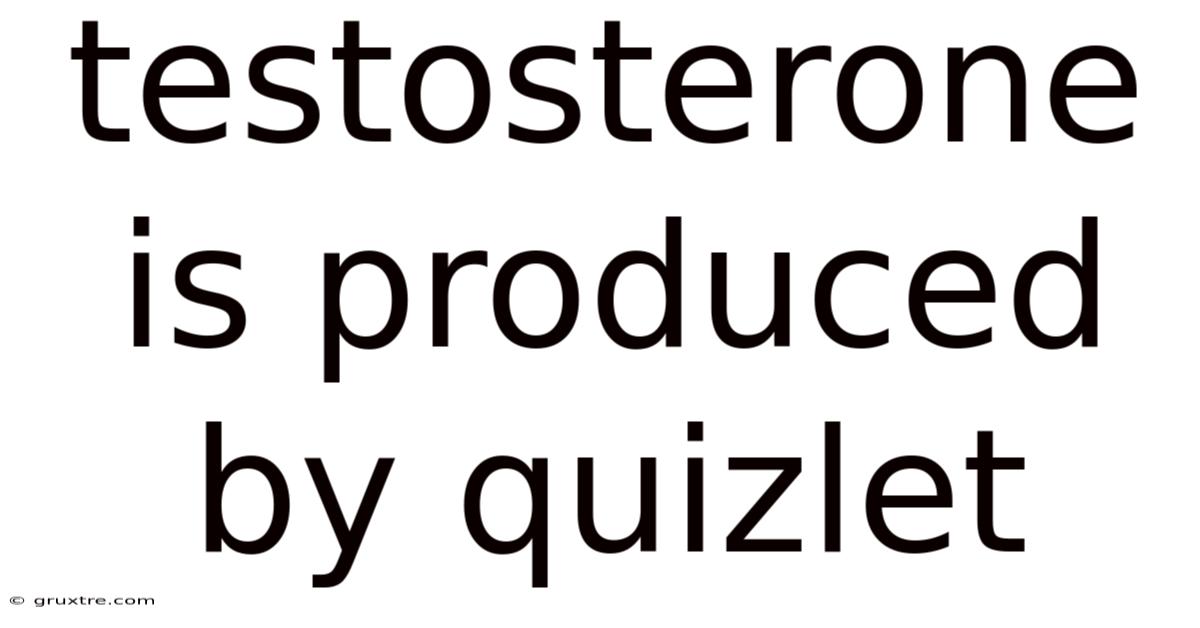 Testosterone Is Produced By Quizlet