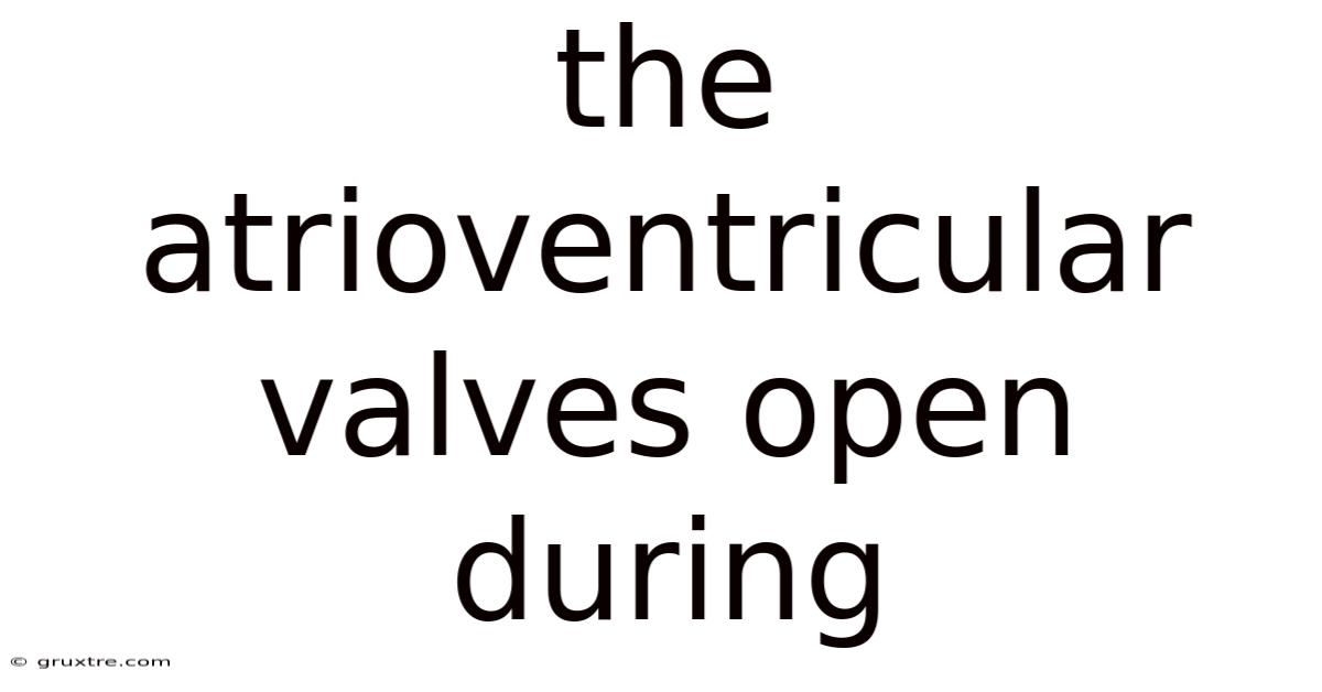 The Atrioventricular Valves Open During