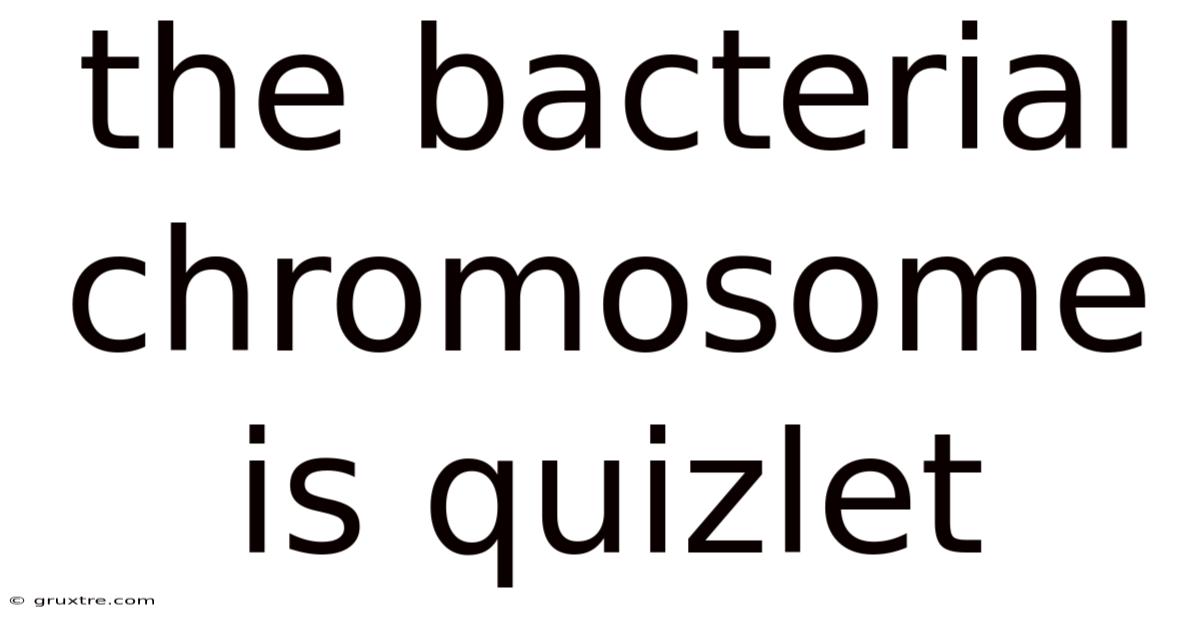 The Bacterial Chromosome Is Quizlet