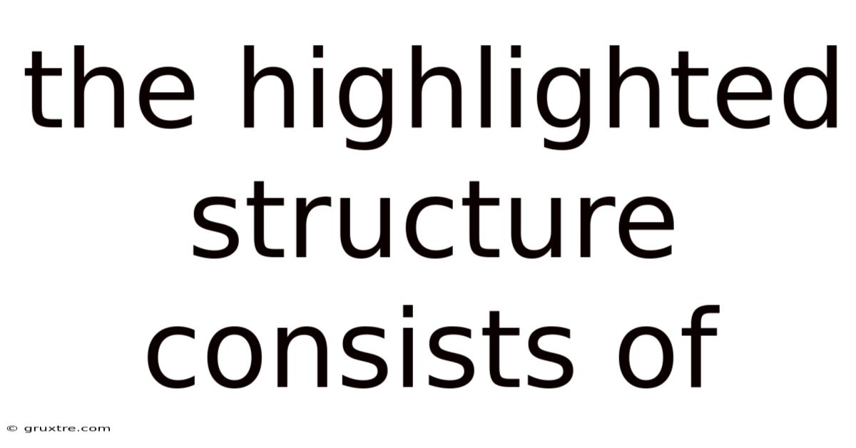 The Highlighted Structure Consists Of
