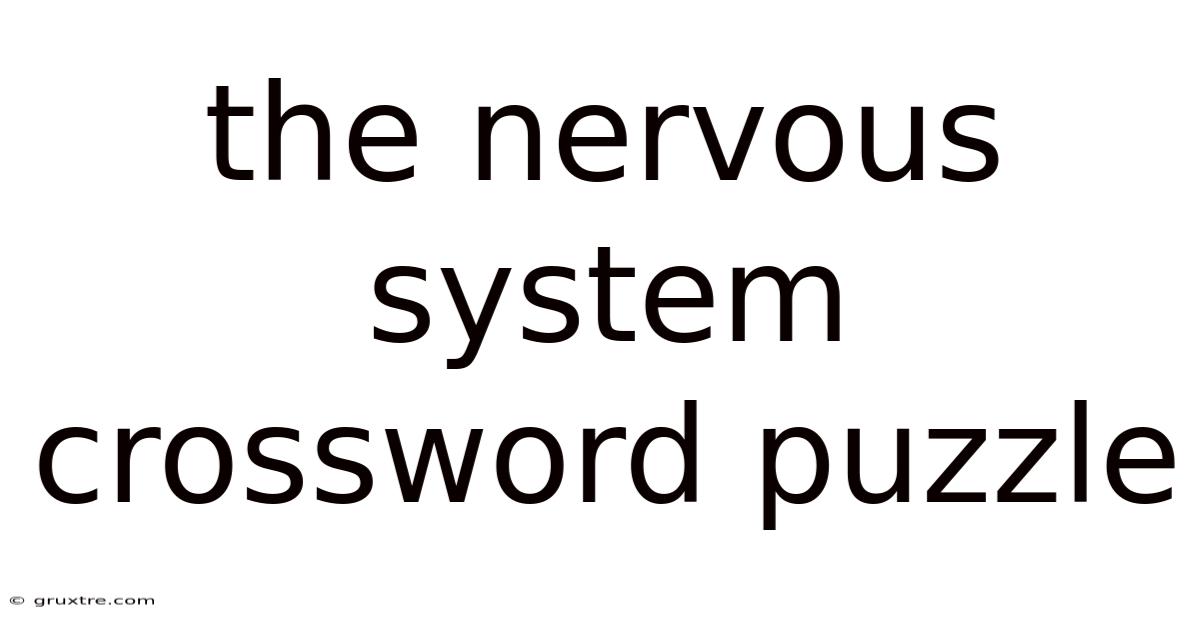 The Nervous System Crossword Puzzle