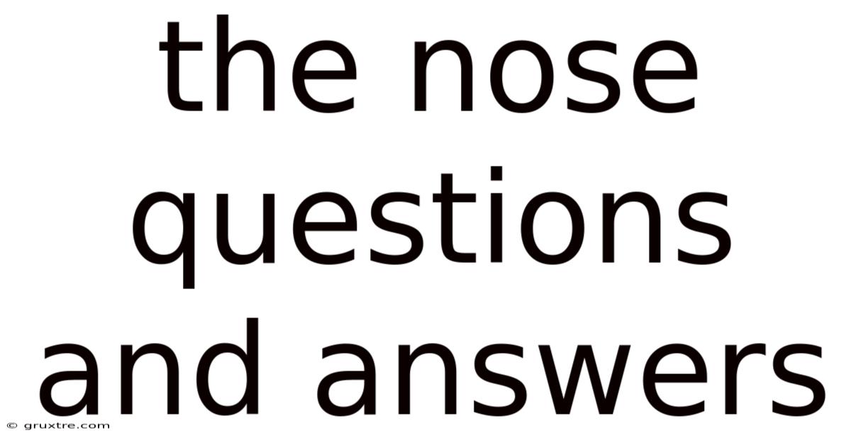 The Nose Questions And Answers
