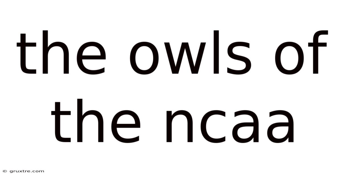 The Owls Of The Ncaa
