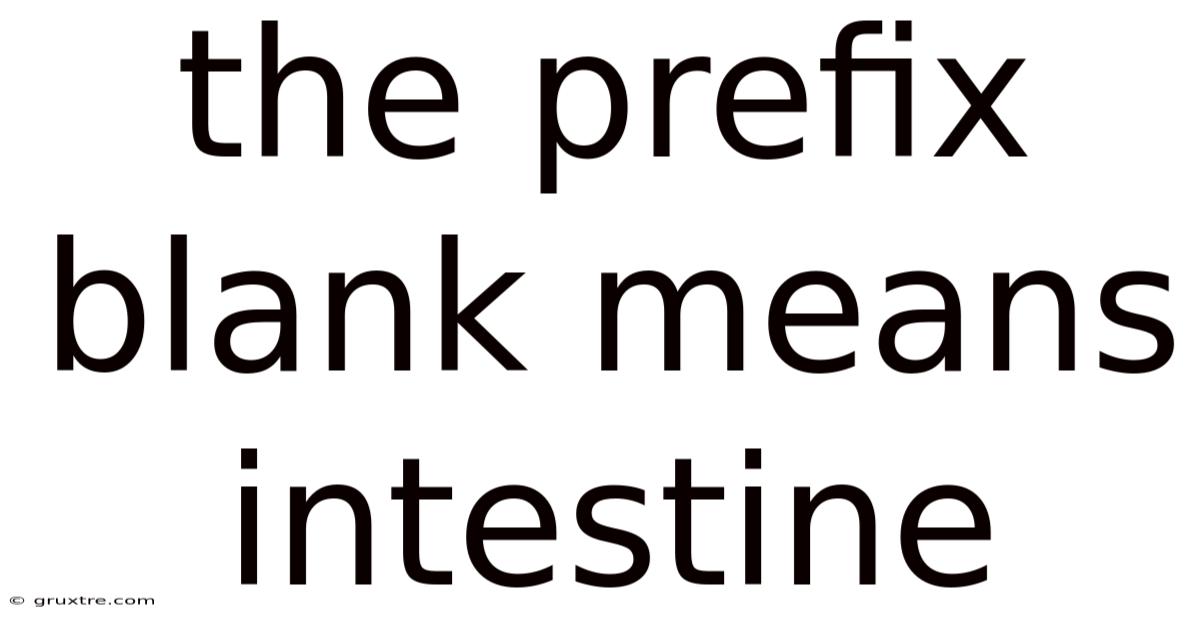 The Prefix Blank Means Intestine