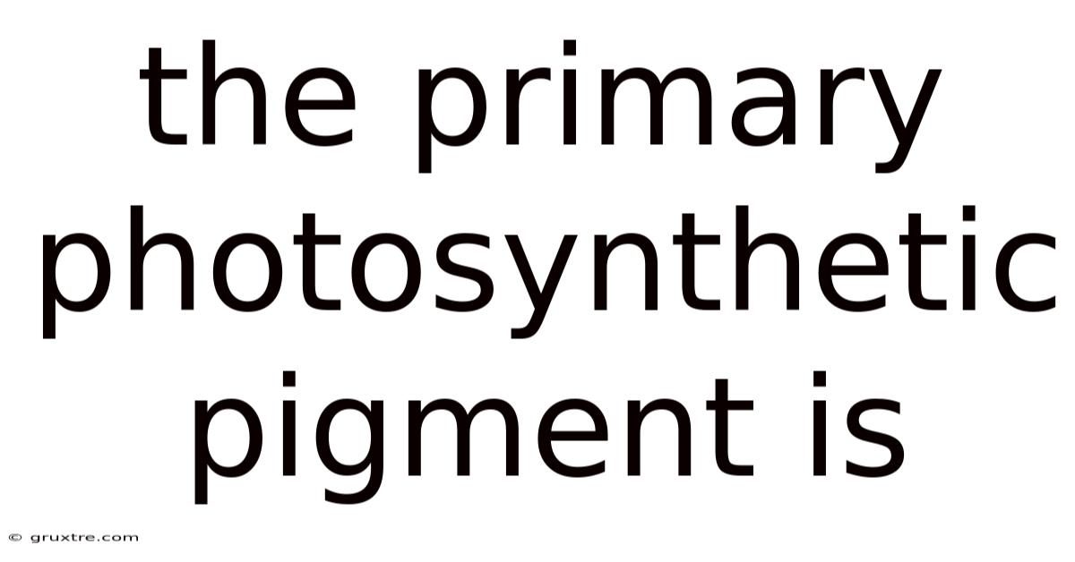 The Primary Photosynthetic Pigment Is