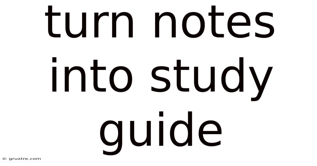 Turn Notes Into Study Guide
