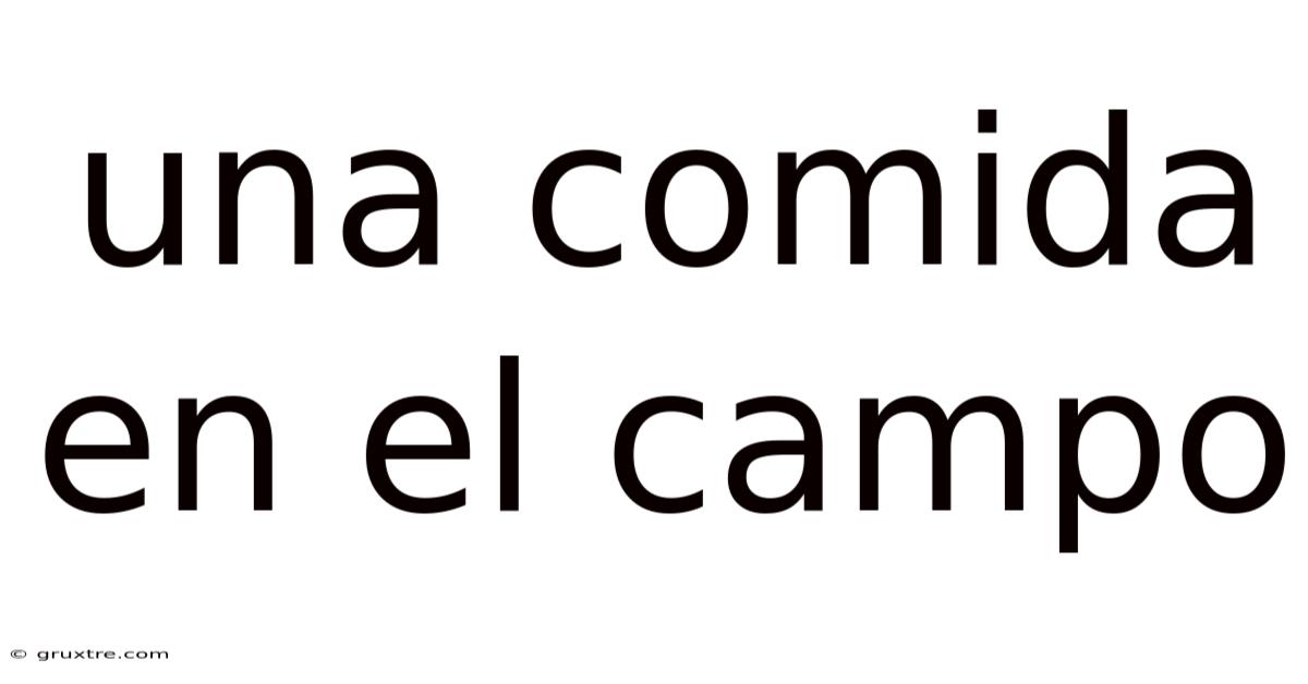 Una Comida En El Campo