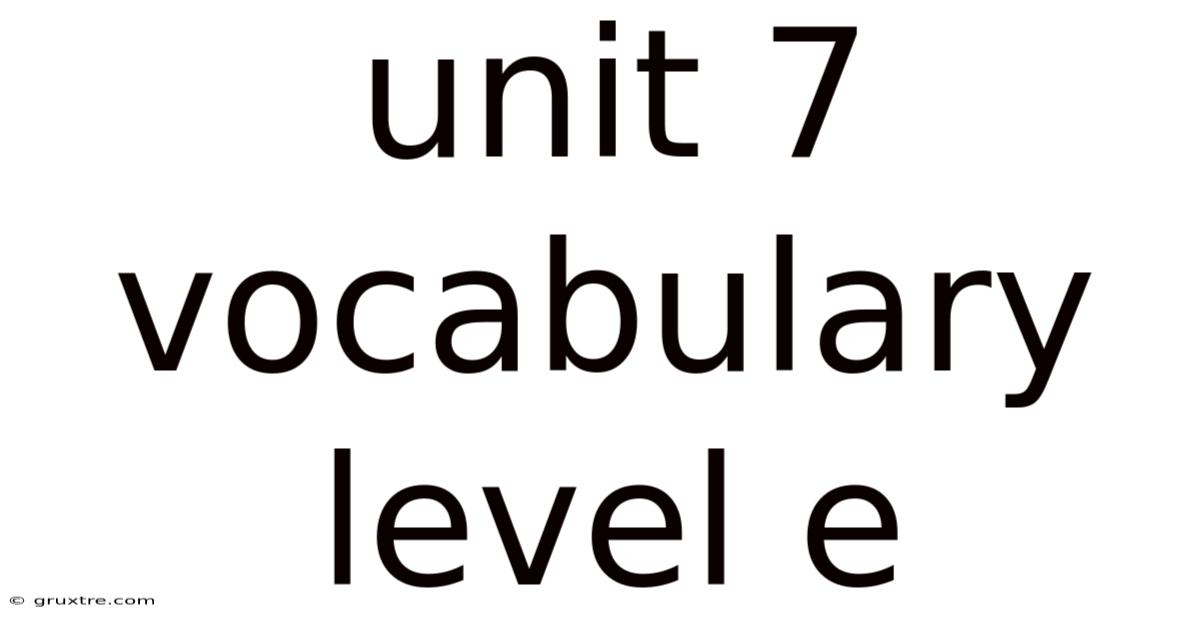 Unit 7 Vocabulary Level E