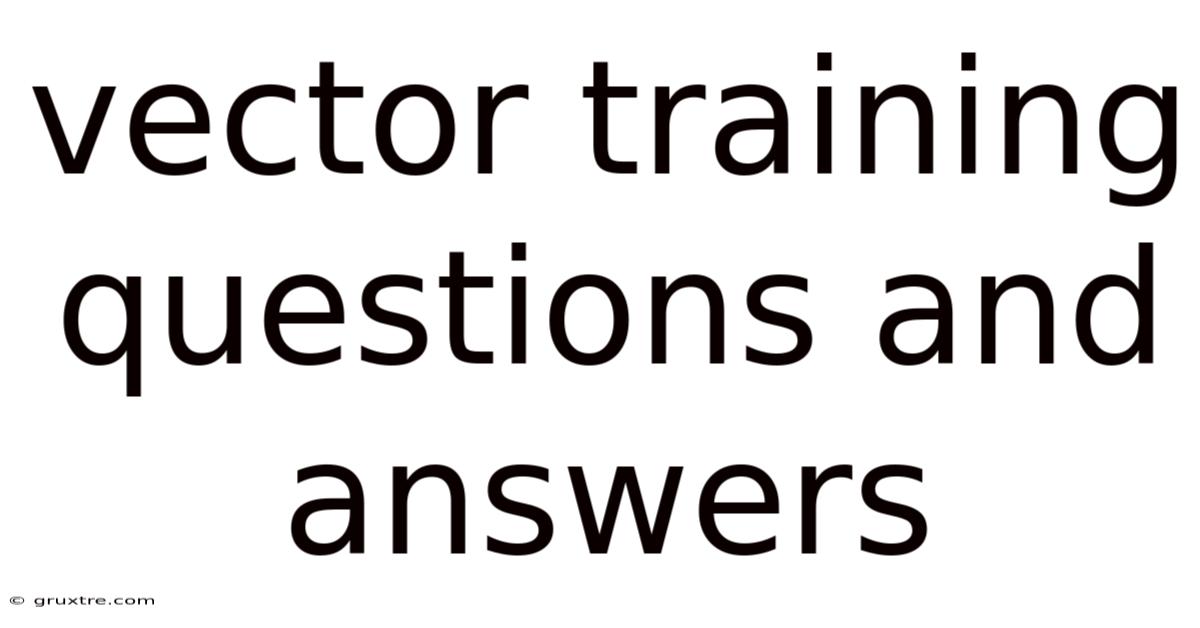 Vector Training Questions And Answers