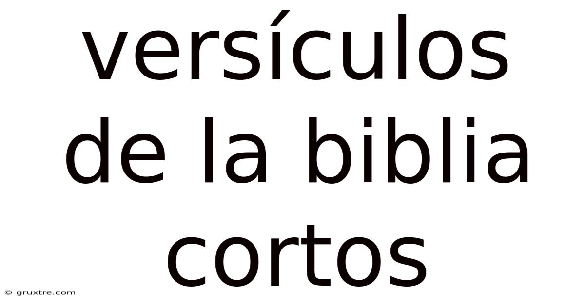 Versículos De La Biblia Cortos