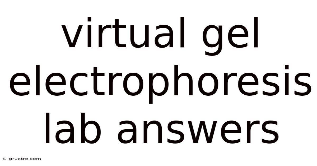 Virtual Gel Electrophoresis Lab Answers