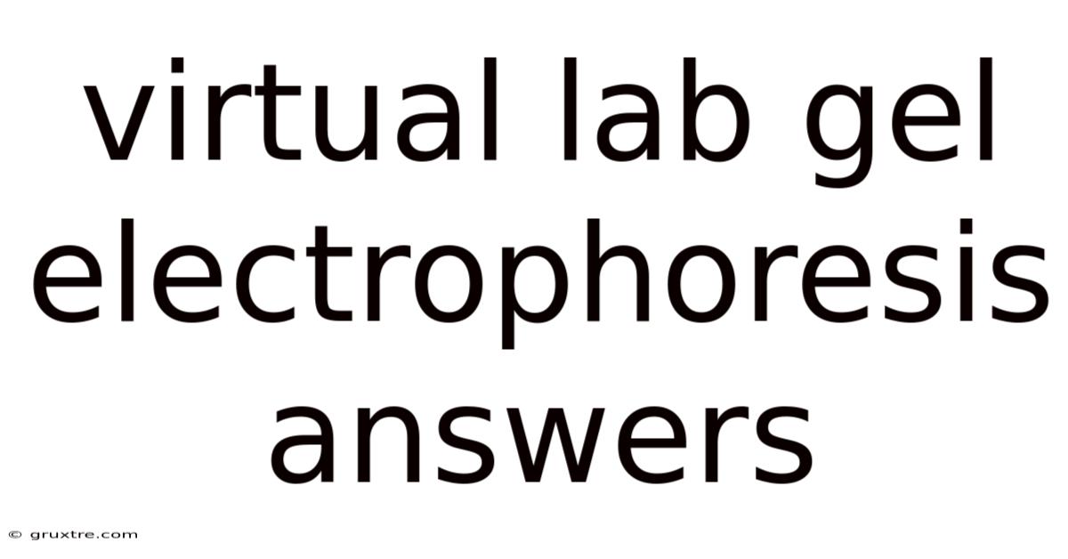 Virtual Lab Gel Electrophoresis Answers