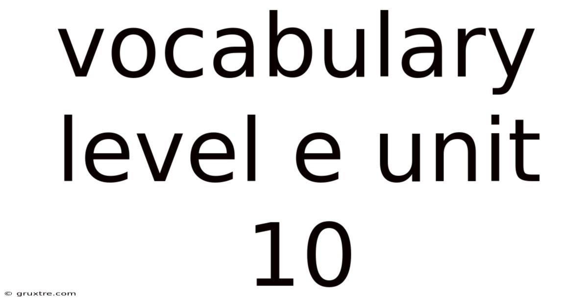 Vocabulary Level E Unit 10