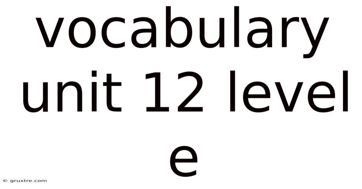 Vocabulary Unit 12 Level E