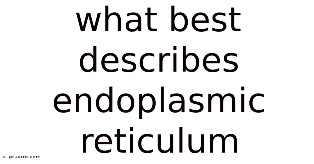 What Best Describes Endoplasmic Reticulum