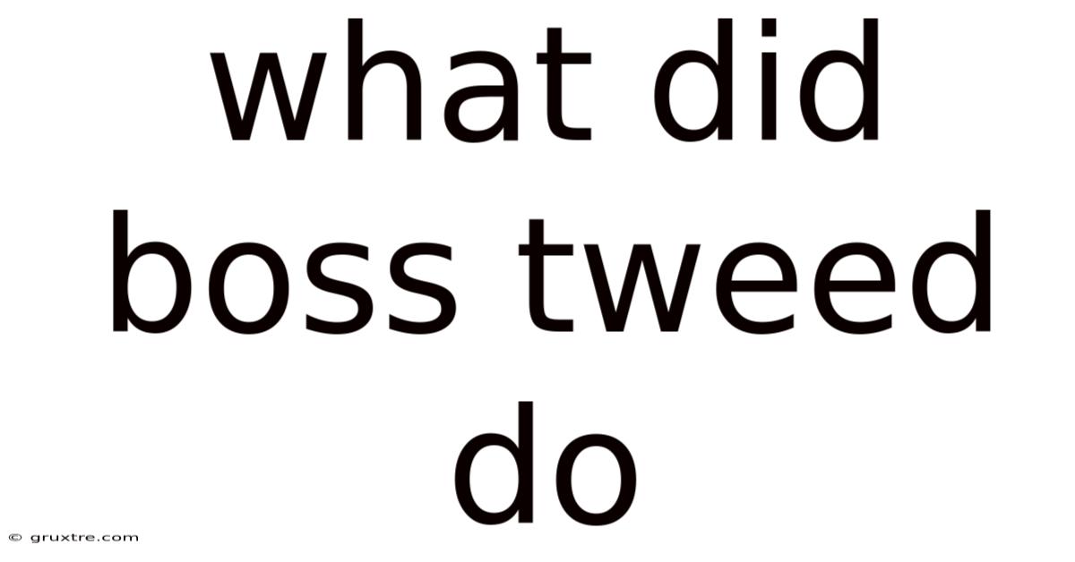 What Did Boss Tweed Do