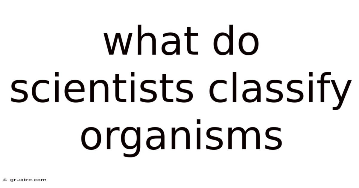 What Do Scientists Classify Organisms