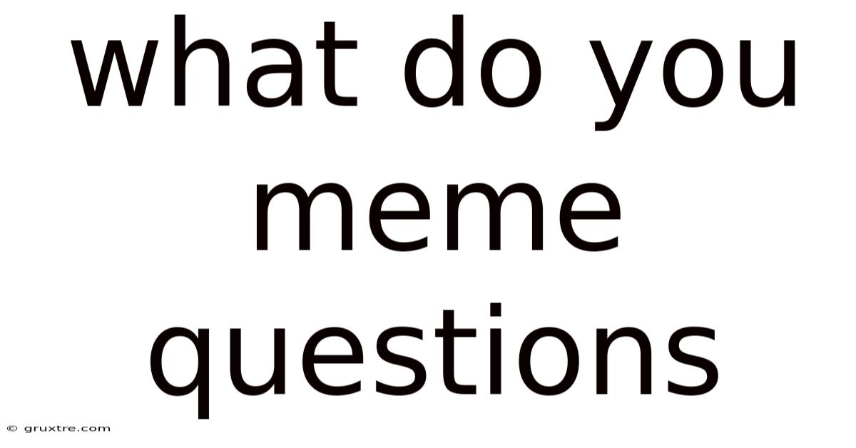 What Do You Meme Questions