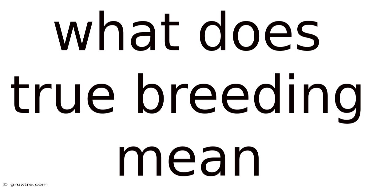What Does True Breeding Mean