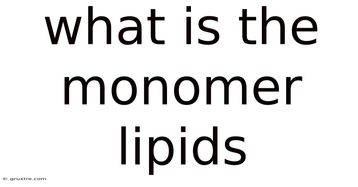 What Is The Monomer Lipids