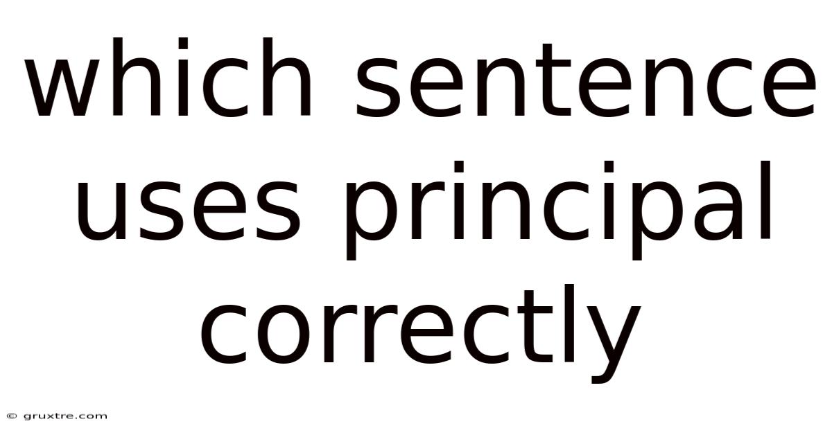 Which Sentence Uses Principal Correctly