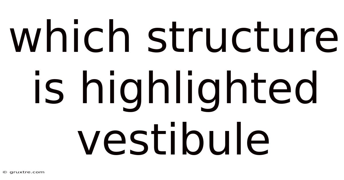 Which Structure Is Highlighted Vestibule