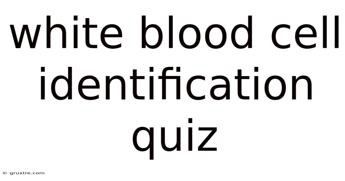White Blood Cell Identification Quiz