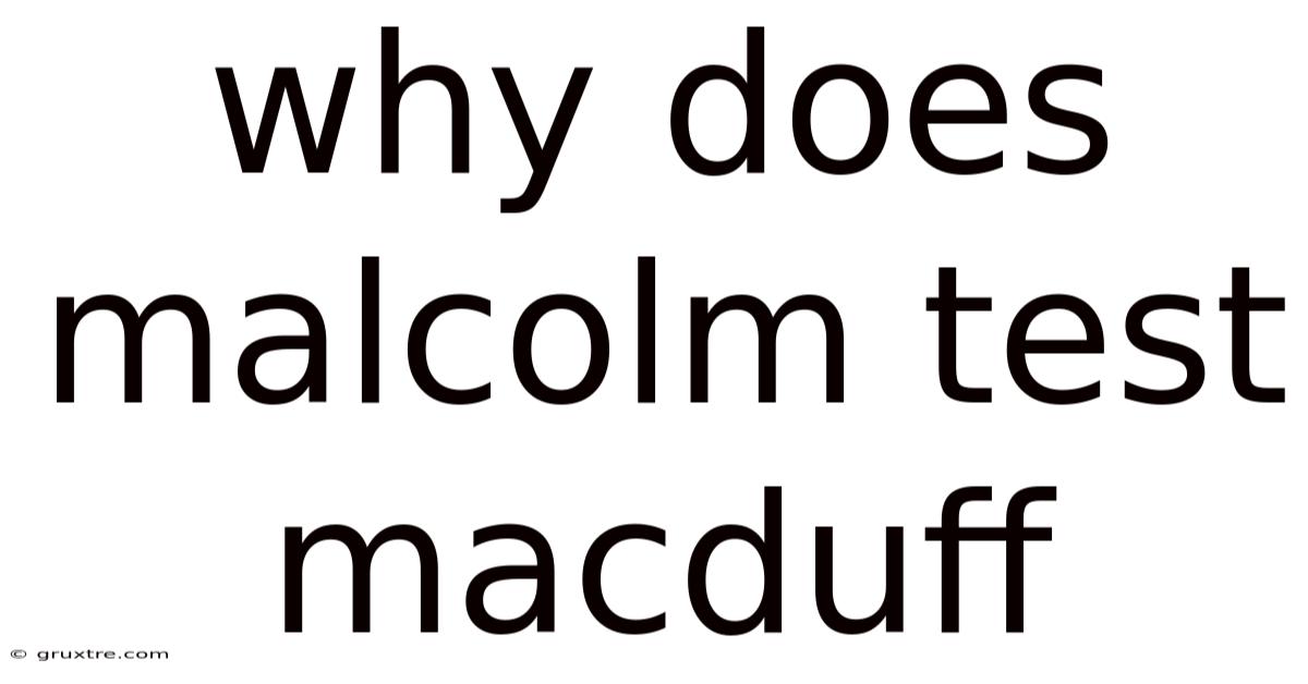 Why Does Malcolm Test Macduff