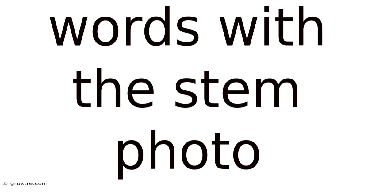 Words With The Stem Photo